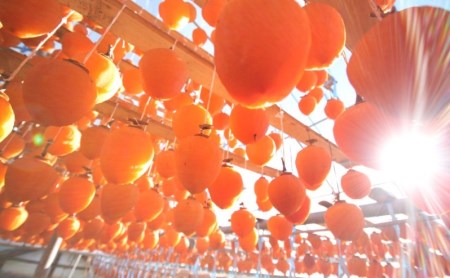 JAフルーツ山梨 甲州市産枯露柿12～15個【60】【2025年発送】B2-101