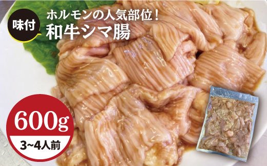 プリプリで味わい深い！ホルモン専門店の和牛シマ腸600g（34人前）【三田川ホルモン専門店】吉野ヶ里町 [FAC008]