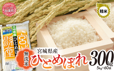 令和7年産 無洗米ひとめぼれ300kg(5kg×60袋) 