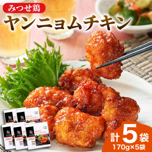 ＜宅呑みに是非！＞みつせ鶏ヤンニョムチキン170g×5袋 【スピード発送】  吉野ヶ里町/ヨコオフーズ [FAE123]