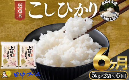 上越市産 新潟 特別米コシヒカリ　5kg×2 6か月定期便  上越市 精米 米 コメ こしひかり ブランド米