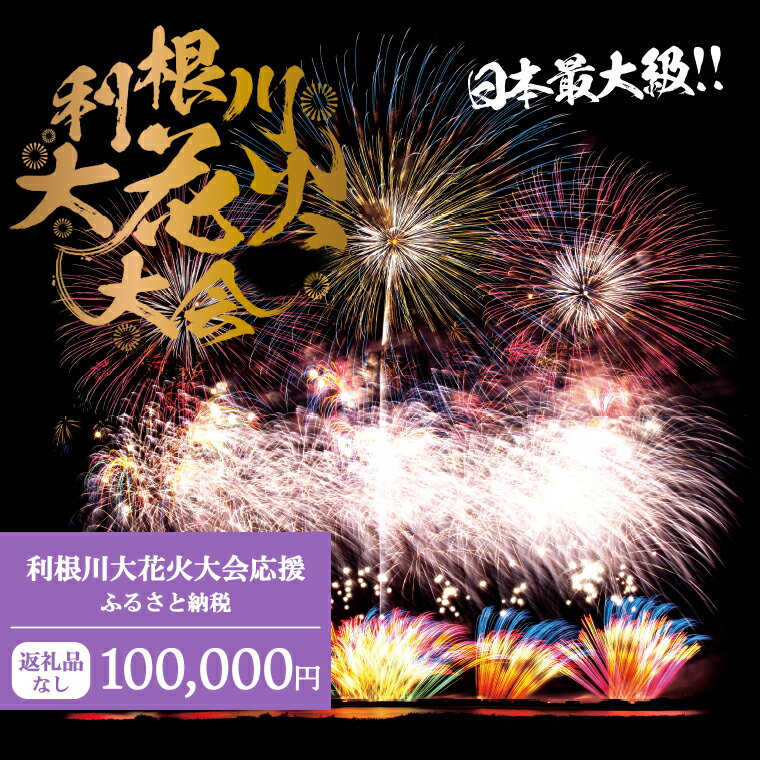 【ふるさと納税】【返礼品なし】利根川大花火大会応援ふるさと納税 (100000円分) 【茨城県境町】