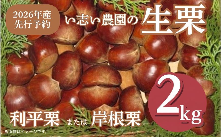 
                  【丹精こめた美味の品】船橋の栗「利平または岸根」（い志い農園） 生栗 大粒 甘い
                