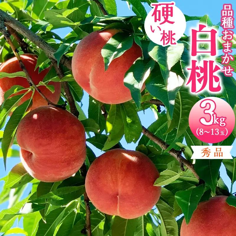 令和8年産 先行予約 有機質肥料栽培 硬めの 白桃 3kg（8～13玉） 秀品 品種おまかせ 山形県産 【2026年8月下旬頃～10月上旬頃発送予定】　016-B-AF025