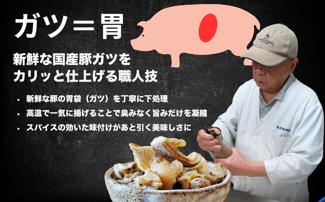 珍味 揚げホルモン せんじがら 120g (60g×2) 広島 瀬戸内 ご当地おつまみ 尾野精肉店