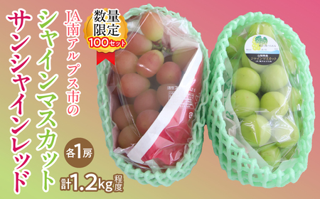 【ふるなび限定】希少品種「サンシャインレッド」＆大人気「シャインマスカット」豪華食べ比べセット！ FN-Limited ALPAA049　| 山梨 山梨県 ぶどう 葡萄 ブドウ マスカット 種なし 大粒 フルーツ くだもの 果物 高級 新鮮 産地直送 贈答 ギフト 家庭用 2025年 |　|山梨 山梨県 ぶどう 葡萄 ブドウ マスカット 種なし 大粒 フルーツ くだもの 果物 高級 新鮮 産地直送 贈答 ギフト 家庭用 2025年 |