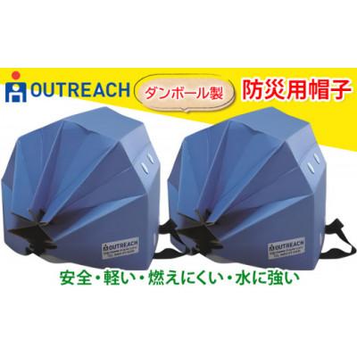ふるさと納税 伊勢原市 「テレビで紹介されました!」軽くて強い!アウトリーチ防災用帽子2個セット(青のみ) [0226]