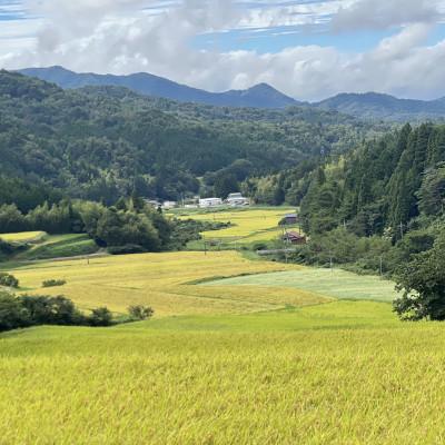ふるさと納税 松江市 【毎月定期便】プレミアム仁多米(なおらい米)真空パック 2kg×4袋(松江市)全6回 |  | 03