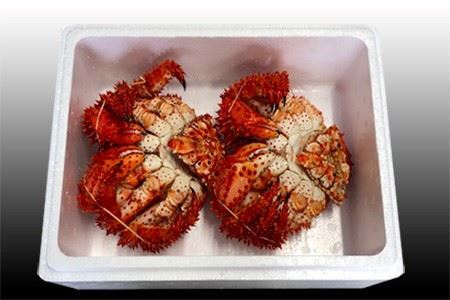 【北海道根室産】花咲かに400g前後～600g前後×2尾 A-70030