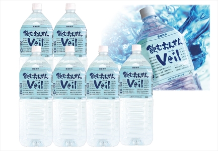 【定期便12ヶ月】飲むおんせんベール2L×6本入【2箱セット】【 温泉水 温泉純度100％ 保存水 防災 神奈川県 山北町 】