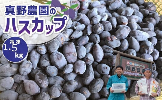 アンテナショップPiPaセレクト 真野農園のハスカップ1.0kg（500g×2） 【令和7年産先行予約】