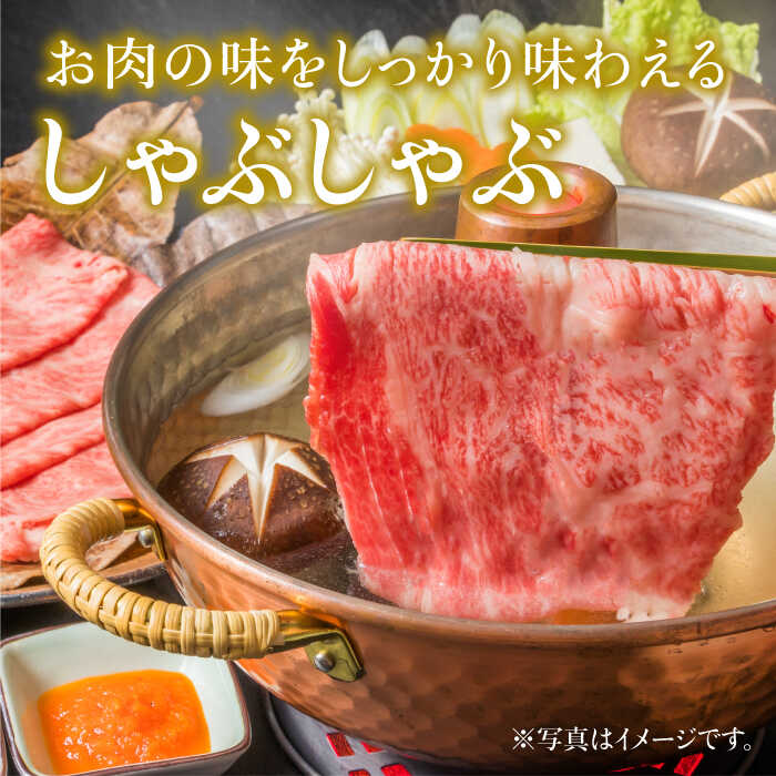 ＜全4回定期便＞和牛最高級ブランド佐賀牛 赤身＆霜降り スライス食べ比べセット 吉野ヶ里町/ミートフーズ華松 [FAY078]