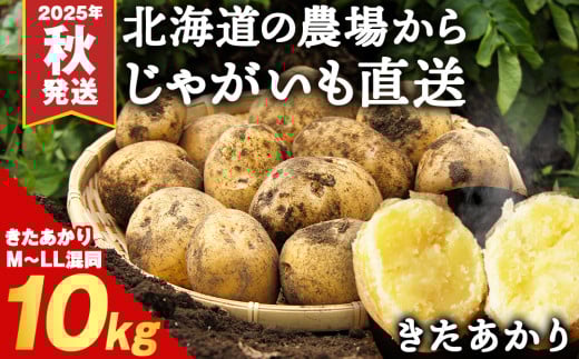 【2025年秋発送予約】数量限定 期間限定 じゃがいも 10kg 北海道 きたあかり ジャガイモ 芋 いも