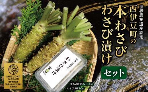 【世界農業遺産認定】訳あり 西伊豆町の本わさび・わさびづけセット（岡原わさび） 【12月・1月除く】 西伊豆町 天城山 清流 わさび 本わさび わさび漬け 無添加 お刺身 さしみ ステーキ 薬味 冷蔵 西伊豆 伊豆 ギフト お歳暮 お中元