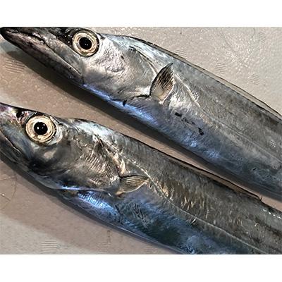 ふるさと納税 八幡浜市 竹中水産の「釣の太刀魚」　約2キロ!【F22-264】 |  | 01