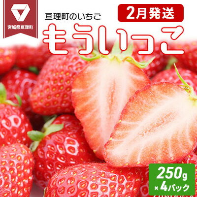 【ふるさと納税】いちご 亘理町のいちご もういっこ 250g × 4パック オンライン決済限定 先行受付中 苺 果物 フルーツ イチゴ セット 　お届け：2026年2月上旬頃から2月下旬頃まで