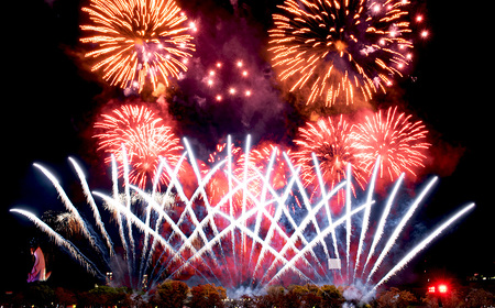 No.177 万博夜空がアートになる日　2025　鑑賞チケット　ダイナミックシート2枚 ／ イベント 花火 花火大会 芸術イベント 観覧シート 万博記念公園 大阪吹田市 一夜限り 国内トップクラス 家