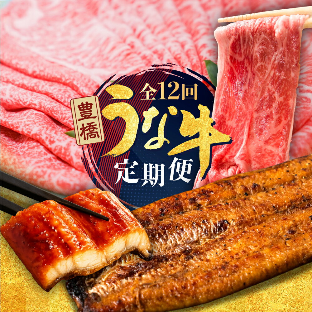 【ふるさと納税】幻の うなぎ & 牛肉 定期便 回数が選べる 3回 6回 12回 お届け 定期便 2尾 牛 肩ロース しゃぶしゃぶ 肉 熟成 タレ付き 山椒付き 毎月お届け 厳選 簡易包装 鰻 ウナギ 幻 希少 鰻 蒲焼き 長蒲焼 最高級 土用丑の日 ギフト どうまい 冷凍 丑の日 簡単調理