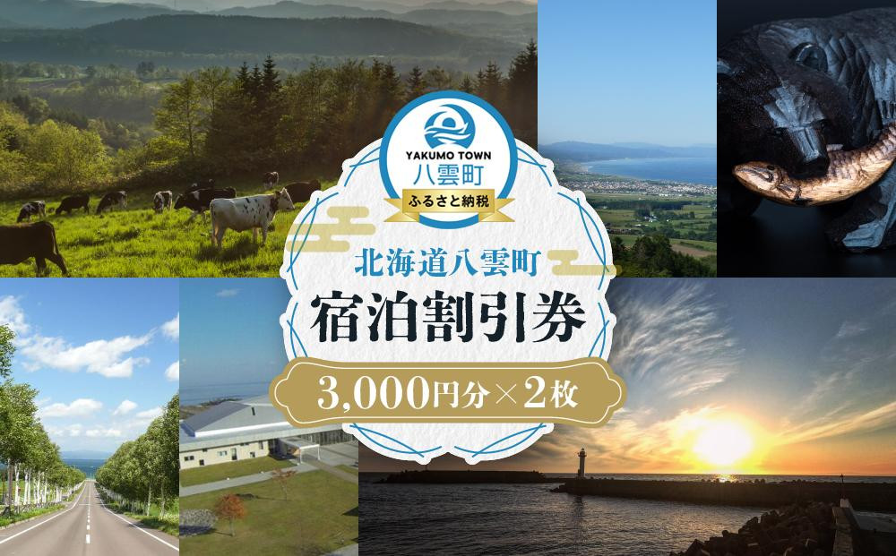 
            北海道八雲町　宿泊割引券3,000円分×2枚【 宿泊券 割引券 旅行 ホテル ホテルチケット 観光 宿泊 ご当地 八雲町 北海道 】
          