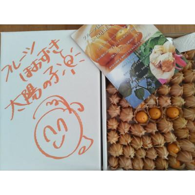 ふるさと納税 日高町 【先行受付】フルーツほおずき　1kg |  | 02