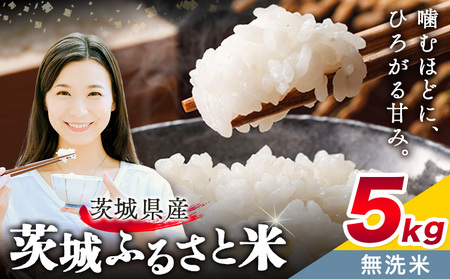 無洗米5kgおこめ【茨城県共通返礼品】