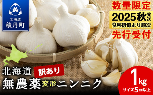 【数量限定】訳あり無農薬変形ニンニク1kg（500g×2袋）玉 変形 無農薬 にんにくガーリック