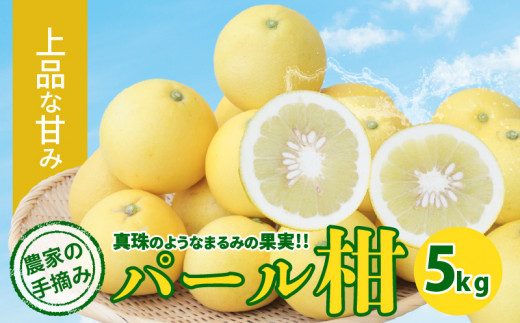 S040-031_農家の手摘み パール柑 約5kg〈先行受付〉