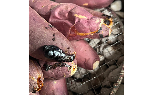 爆甘！甘みと風味が凝縮 ねっとり濃厚つぼ焼き芋 2本 やきいも おやつ デザート スイーツ 福島県 白河市 F25R-160