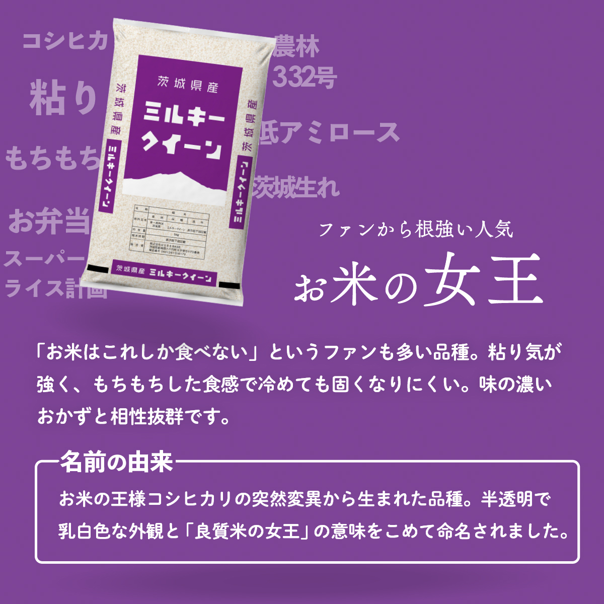 【スピード発送】4種食べ比べ 20kg  (5kgx4袋)  令和7年産 茨城県産 コシヒカリ あきたこまち にじのきらめき ミルキークイーン 白米 精米 茨城県 八千代町 お米 米 [SF589ya
