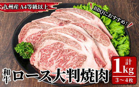 4等級以上 九州産和牛ロース大判焼肉1ｋｇ（3枚～4枚） 2575