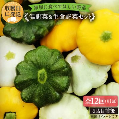 ふるさと納税 糸島市 【全12回定期便】糸島産朝採れ 温野菜&amp;生食野菜セット オーガニックナガミツファーム[AGE021]