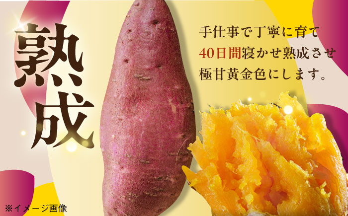 通販累計100万袋突破！レンジで簡単 ごと焼きごと芋 300g×4袋 焼き芋 おやつ 五島市/ごと [PBY033]