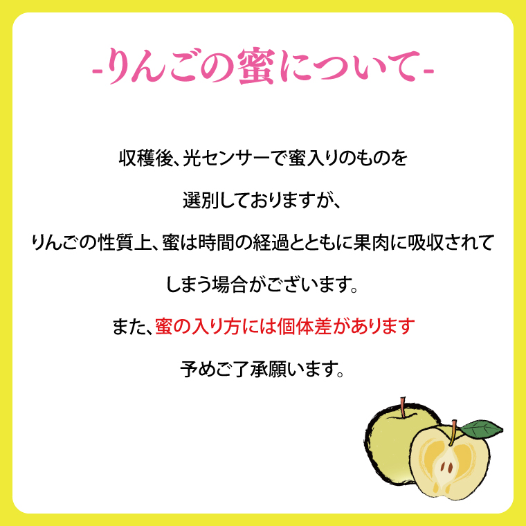 ★サビあり★ りんご はるか 「そばかす冬恋」（自家用「冬恋 はるか」 サビ有） 約2.5kg 糖度15度以上【先行予約 12月発送予定】 数量限定 岩手県産 りんご リンゴ 林檎 冬恋 はるか フル