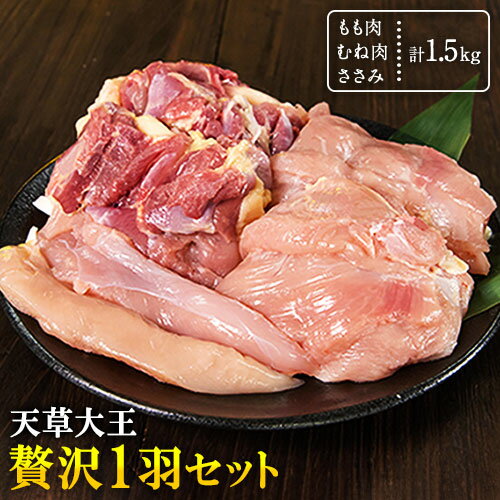 【ふるさと納税】天草大王 贅沢1羽 セット 計1.5kg 【配送不可地域：離島】あそ大王ファーム株式会社 《60日以内に出荷予定(土日祝除く)》熊本 産山 鶏 鶏肉 もも むね ささみ