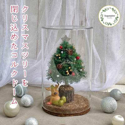 ふるさと納税 春日部市 プリザーブドフラワーアレンジ【レンヌ】春日部市 シュガーパイン