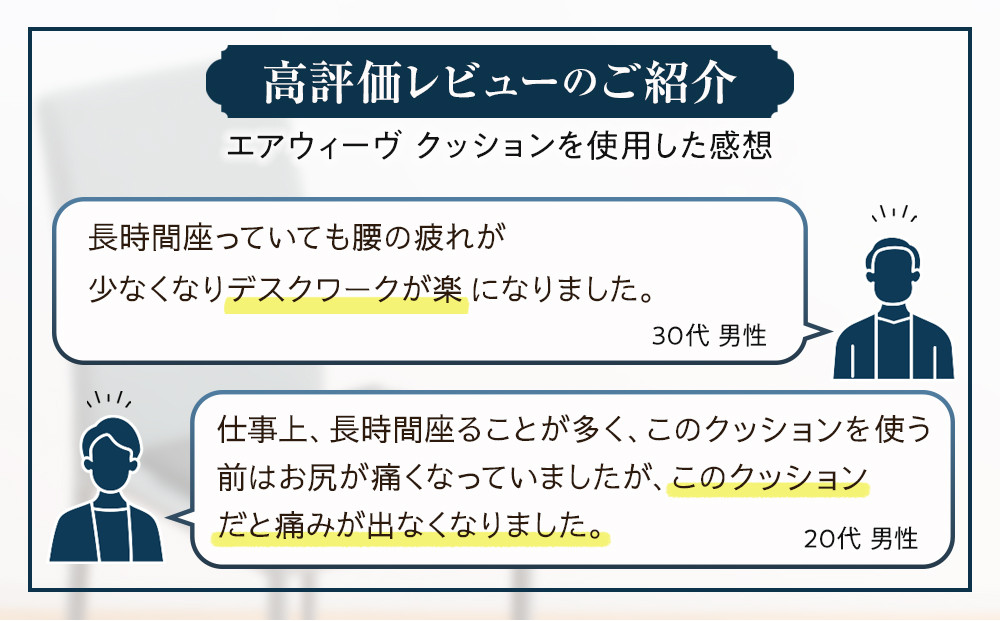 エアウィーヴ キャリークッションmini
