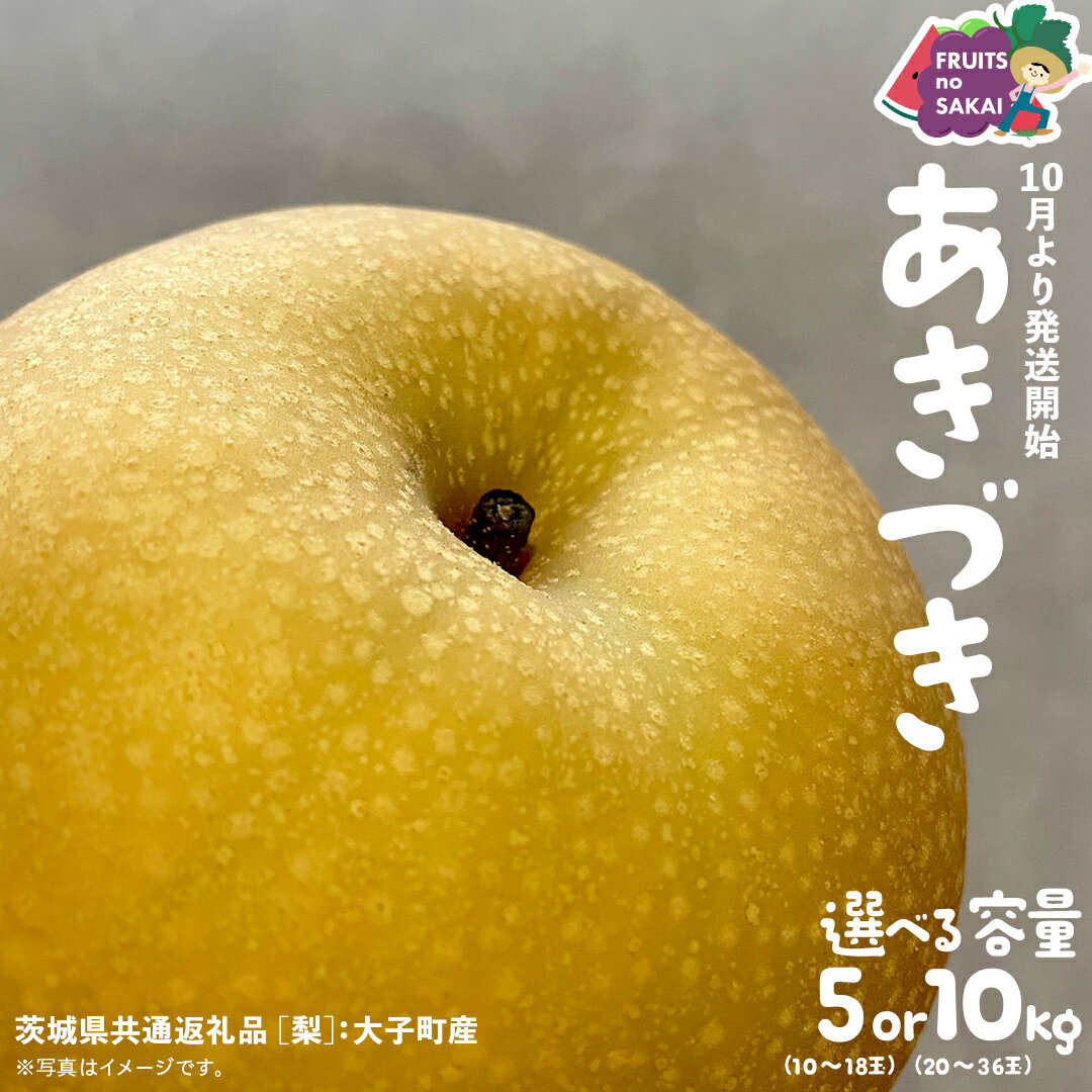 【ふるさと納税】＼ 選べる内容量 ／ あきづき 梨 5kg（10～18玉）/ 10kg （20～36玉）【2025年10月より発送開始】（茨城県共通返礼品 [梨]：大子町産） なし 旬 お取り寄せ フルーツ 甘い ジューシー 和梨 時期