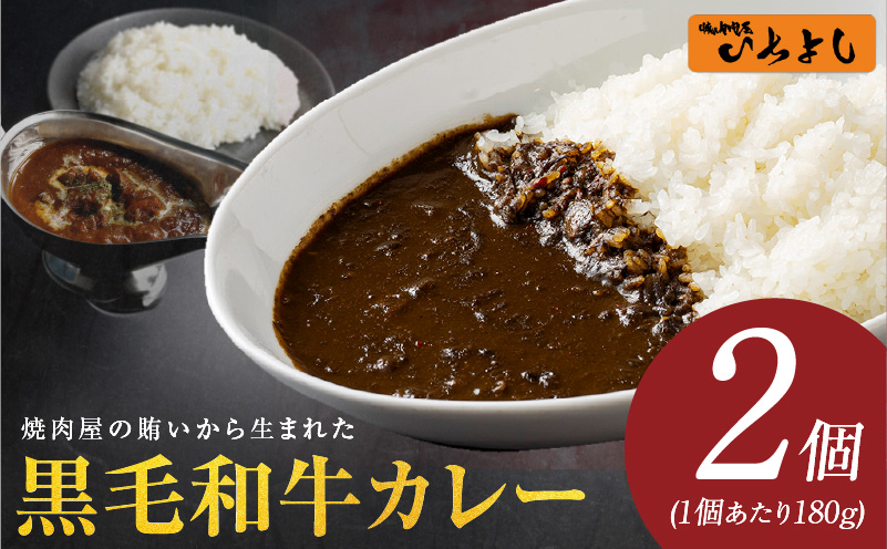 【特別規格】焼肉屋の黒毛和牛カレー 180g×2個【レトルト 惣菜 お試し 本格かれー 簡単調理 防災 備蓄 小分け スピード発送 大阪 泉佐野 大阪府 泉佐野市】