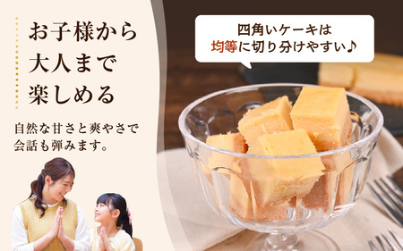 【2026年2月発送】濃厚スイーツ チーズケーキ スクエア（8cm×12㎝×2個セット）【デザート 菓子 お菓子 洋菓子 スイーツ おやつ クッキー生地 冷凍】 [e44-a014_02]