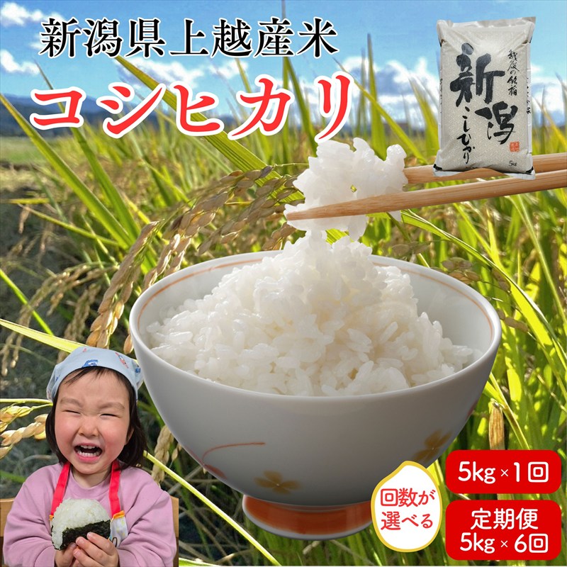 【ふるさと納税】先行予約 令和8年産 令和7年産 上越市産コシヒカリ 5kg 5キロ 30kg 30キロ（5kg×6回） 新米 精米 新潟 米 こしひかり 定期便 新潟県 上越市 限定 おすすめ 米ヴィレッジさんわ　お届け：記載の配送開始日から順次発送