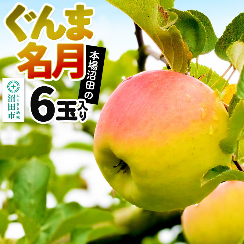 【ふるさと納税】《2026年11月下旬〜12月中旬発送》先行予約 果実の里 原田農園 ぐんま名月 1箱 6玉入り [林檎 りんご リンゴ]