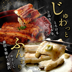 うなぎ 国産 長蒲焼き 白焼き 計4尾 浜名湖産 やまぶき うなぎ