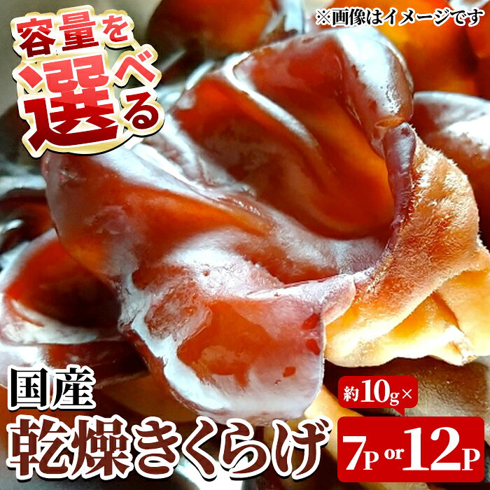 【ふるさと納税】＜内容量が選べる！＞国産乾燥きくらげ(計約70g or 計約120g) 国産 阿久根市産 きくらげ 木耳 キクラゲ 乾燥きくらげ 食物繊維 ビタミンD 【竹ん子山】