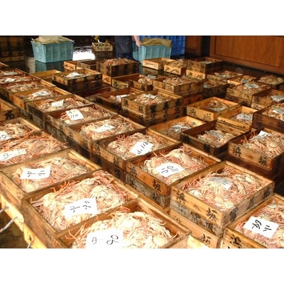 松葉ガニの本場　生セコガニ(冷蔵)中サイズ　10枚(訳あり)　兵庫県新温泉町　ご家庭で茹でてアツアツ【配送不可地域：離島・北海道・沖縄県・東北】