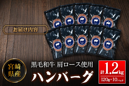 ハンバーグ 120g×10P 肉 牛肉 B677