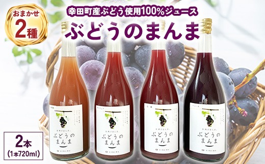 幸田町産ぶどう使用100％ジュース 2種詰め合わせ （720ml × 2本） ｜ 無添加 無糖 無加水 巨峰 ベリーA 甲斐路 デラウェア 送料無料