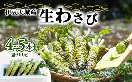 伊豆天城産 生わさび 4～5本 計300g 調味料 薬味 わさび 山葵 生山葵 ワサビ 生ワサビ 刺身 寿司 新鮮 河津町産 静岡県産 [№5227-0558]