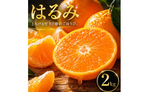 【選ぶならこれ】 ぷちぷち食感 【はるみ】 2kg 愛媛県産 【2027年2月中旬頃から順次発送】 | みかん ミカン mikan 蜜柑 訳ありフルーツ 柑橘 果物 おすすめ お勧め お取り寄せ ギフト 愛媛県 松山市