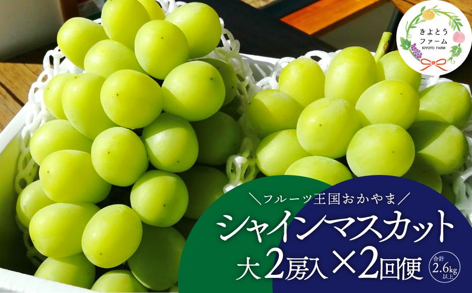 
            KF-T044-02【きよとうファーム】岡山のシャインマスカットを楽しむ満足2回便！特大２房×２回/全便計2.6kg~ (定期便)(岡山県産)
          