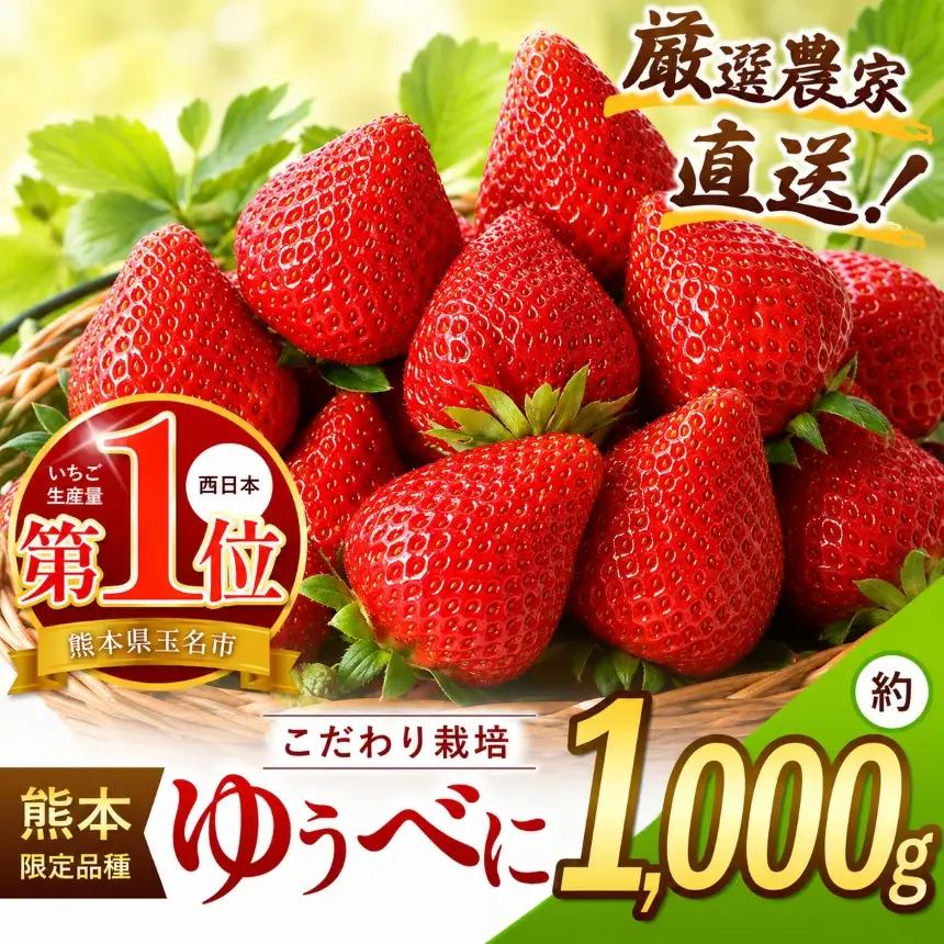 厳選農家直送 ゆうべに 約1000g